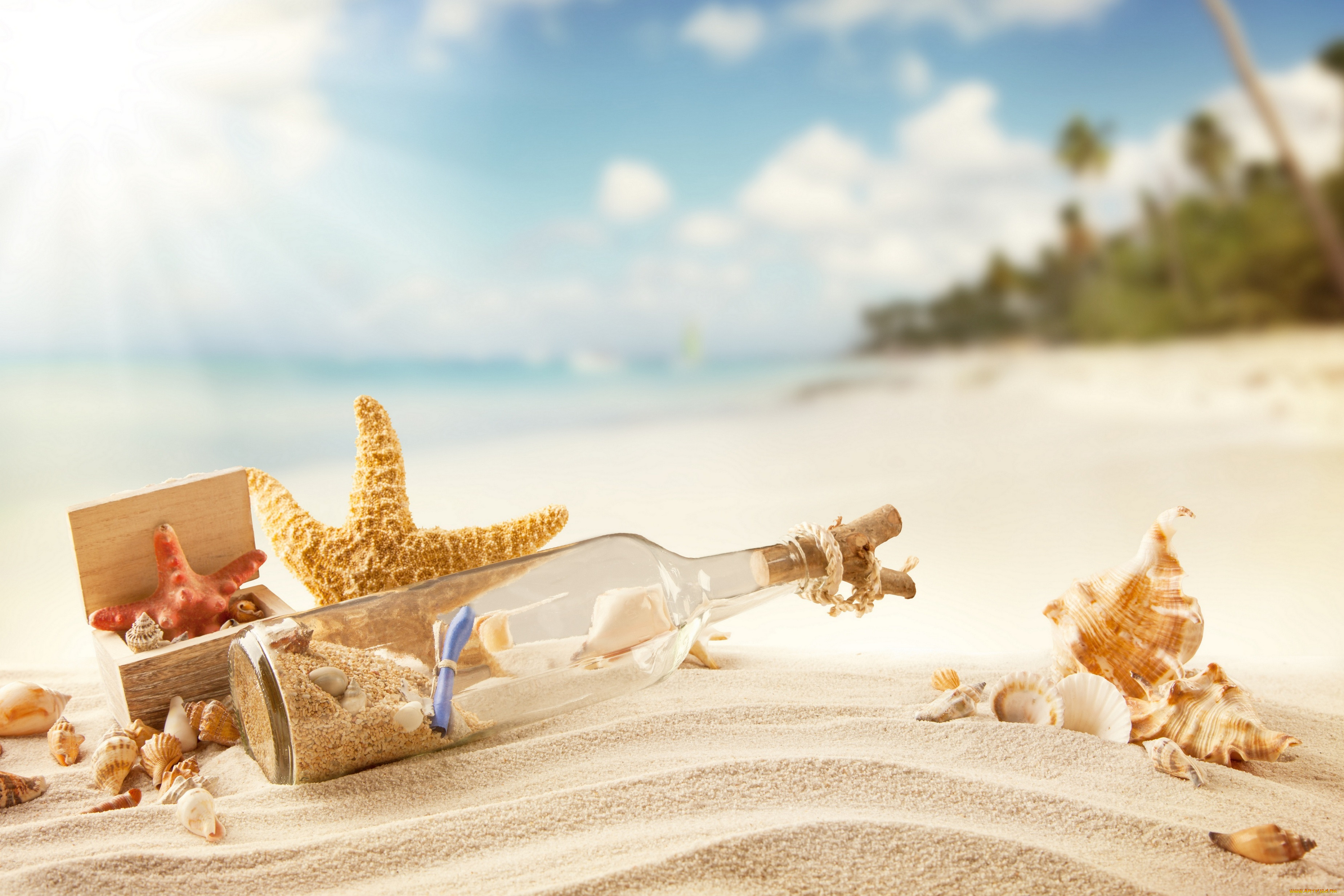 , ,  ,    spa-, summer, tropical, vacation, sunshine, beach, sand, bottle, message, seashells, starfish, , , , , , , , , , 